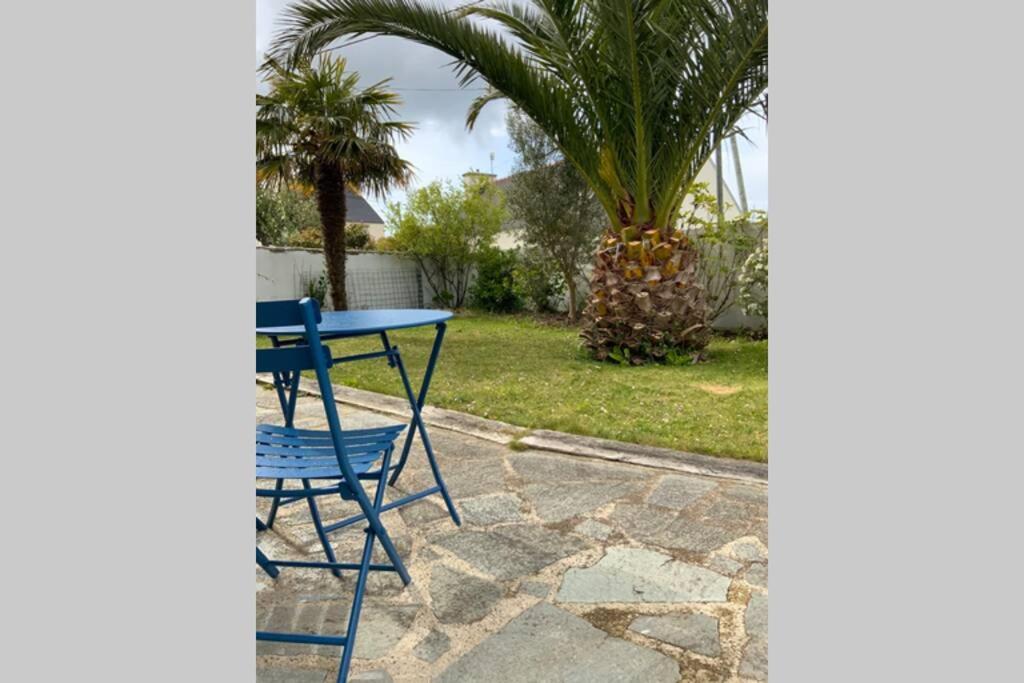 Pen TY sur les Hauteurs- Audierne- Plouhinec Plouhinec  Extérieur photo