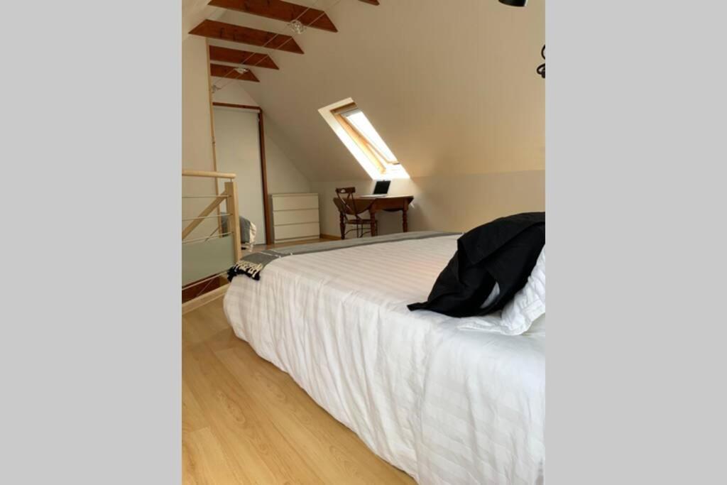 Pen TY sur les Hauteurs- Audierne- Plouhinec Plouhinec  Extérieur photo